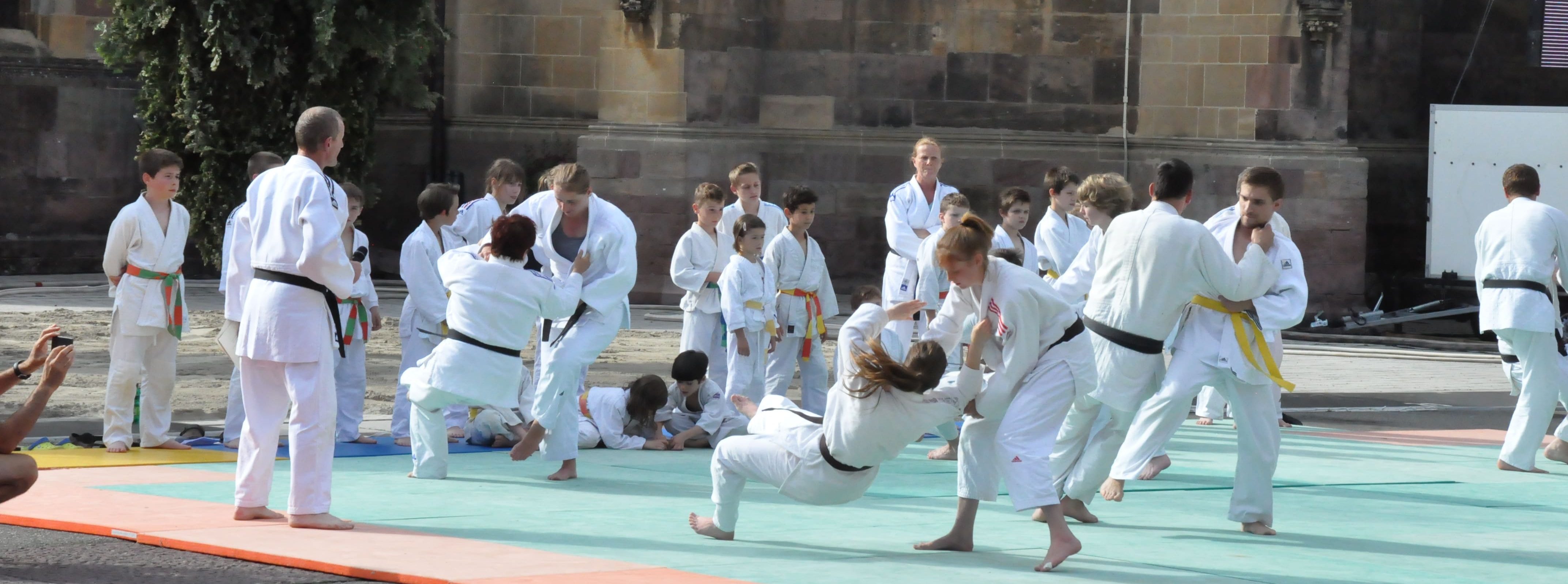 Demonstration de judo