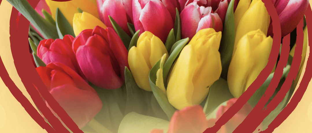 33ème édition de « tulipes à cœur »