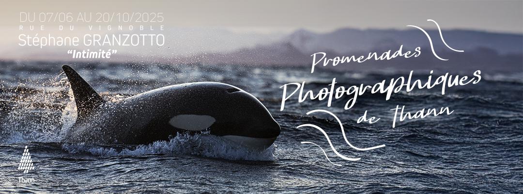 EXPOSITION PHOTOS « INTIMITÉ » – LES PEUPLES DE L’OCEAN