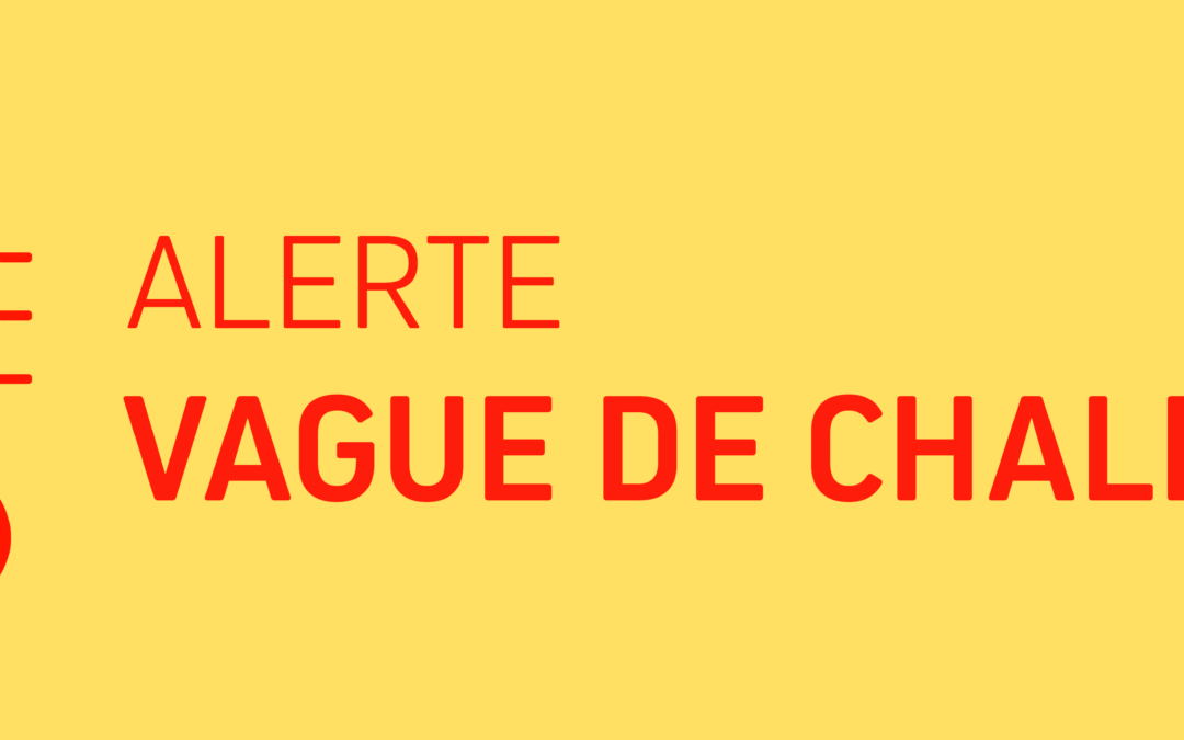VAGUE DE CHALEUR – ADOPTONS LES BONS RÉFLEXES !